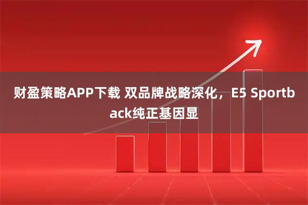财盈策略APP下载 双品牌战略深化，E5 Sportback纯正基因显