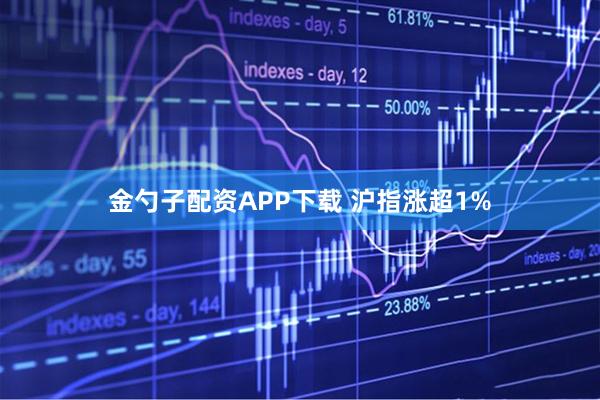 金勺子配资APP下载 沪指涨超1%