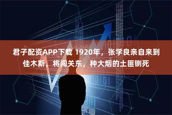 君子配资APP下载 1920年，张学良亲自来到佳木斯，将闯关东，种大烟的土匪铡死