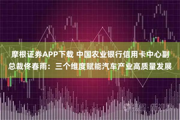 摩根证券APP下载 中国农业银行信用卡中心副总裁佟春雨：三个维度赋能汽车产业高质量发展