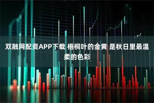 双融网配资APP下载 梧桐叶的金黄 是秋日里最温柔的色彩