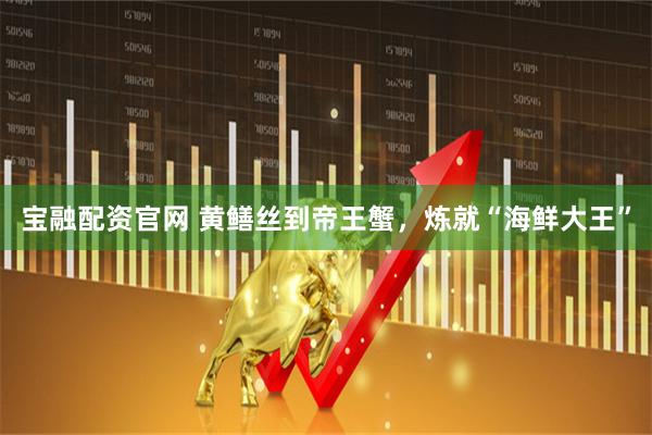 宝融配资官网 黄鳝丝到帝王蟹，炼就“海鲜大王”