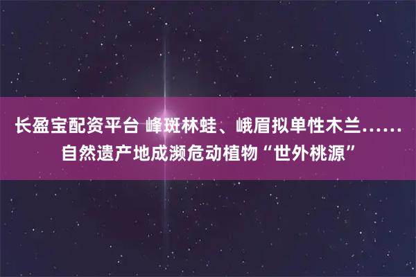 长盈宝配资平台 峰斑林蛙、峨眉拟单性木兰……自然遗产地成濒危动植物“世外桃源”